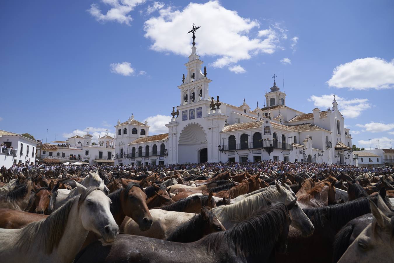 Multitudinaria bendición de las yeguas en el Santuario del Rocío